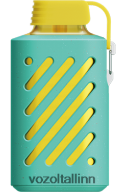 VOZOL Eesti - VOZOL GEAR 10 000 vaarikas arbuus ZV4Z26306