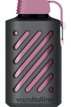 VOZOL Hind - VOZOL GEAR 10 000 kannatuspuu vaarikas mandariin ZV4Z26300