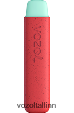 VOZOL Müük - VOZOL STAR 550 õuna virsik ZV4Z26138