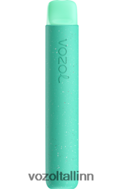VOZOL Vape Eesti - VOZOL STAR 600 piparmünt ZV4Z2692
